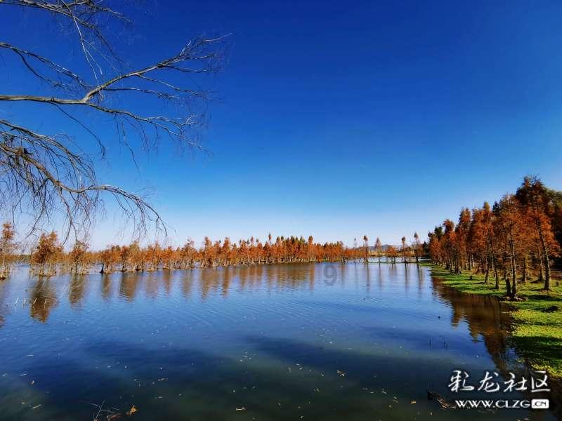 智能鹏翼门轿跑钜惠5万 小鹏P7i鹏翼性能版成为智能纯电轿跑市场新标配