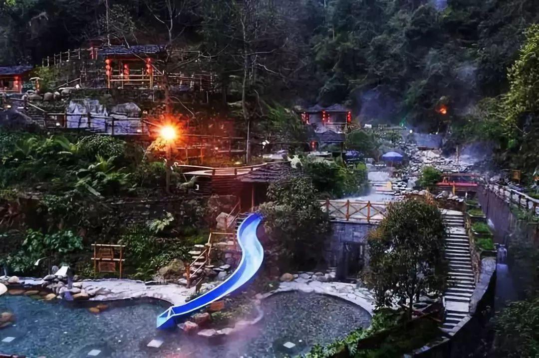 逃离天鹅森林