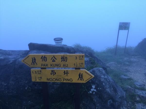 香港成“国际金融中心遗址”?纯市场之路走不通,体制有相当问题