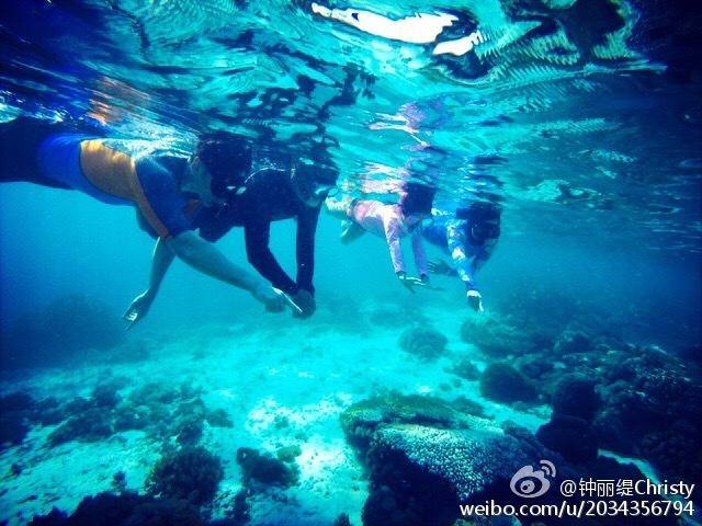 植物大战僵尸13
