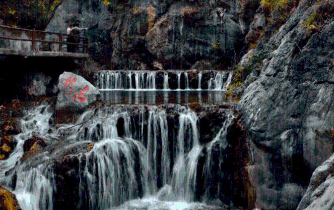 “致富风”吹在边疆草原上