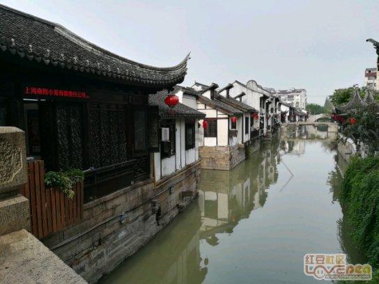 我的老师是偶像