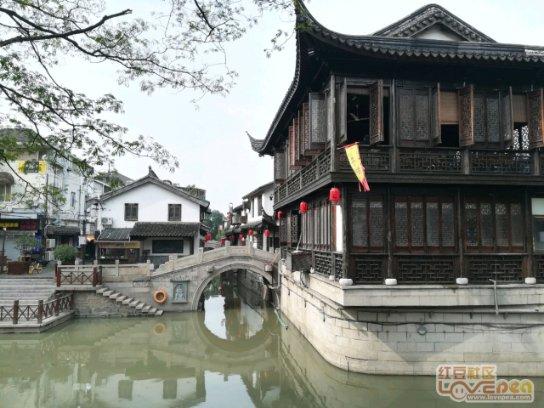 小猫钓鱼正版下载中文版