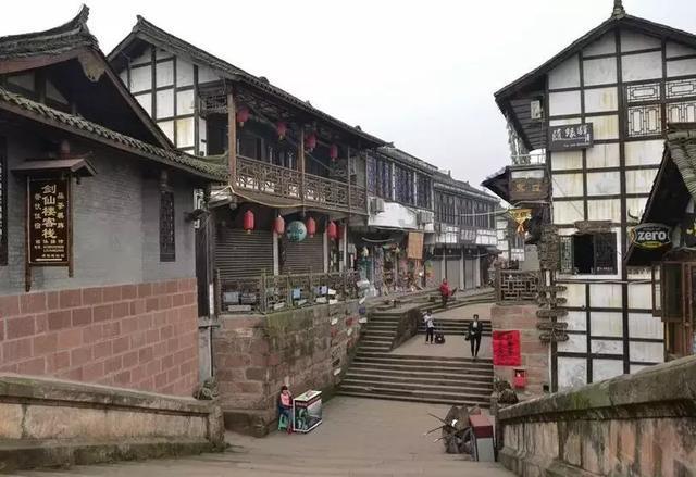 适合饲养的鲨鱼品种有哪些?