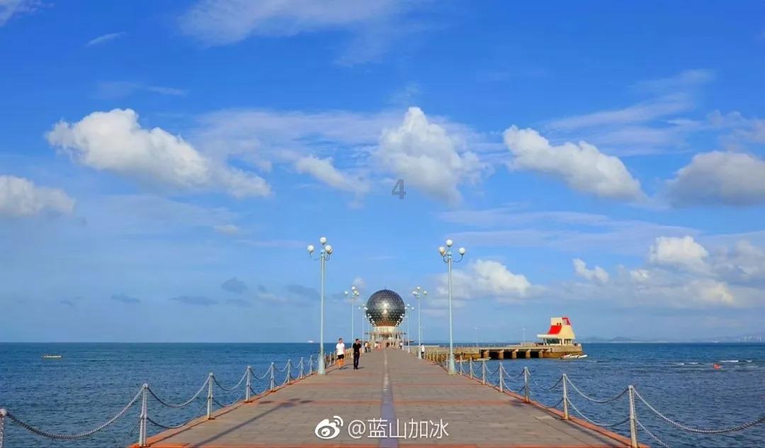 危险森林大逃脱